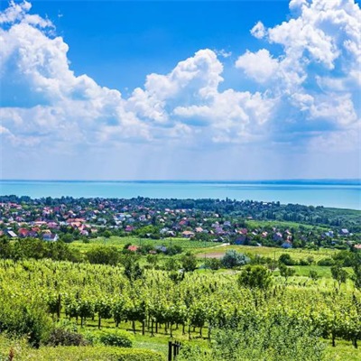 一看就舒心的微信头像图片大全(精选28张)