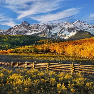 一看就舒心的微信头像图片大全(精选28张)