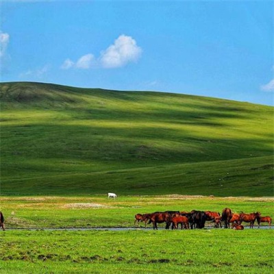 一看就舒心的微信头像图片大全(精选28张)