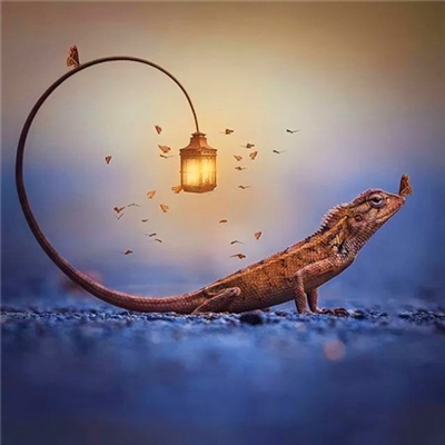 大气有格局的微信头像(精选26张)