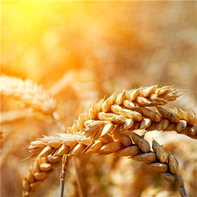 大气有格局的微信头像(精选26张)