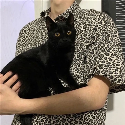 微信高冷男神图片头像大全(精选16张)