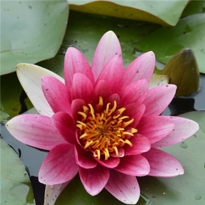 2023年妈妈头像(28张)