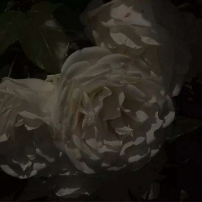 暗色系风景头像(精选20张)