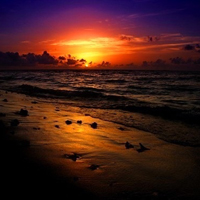 成熟男士专用微信头像(精选22张)