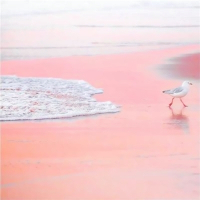 阳光干净的微信头像(22张)