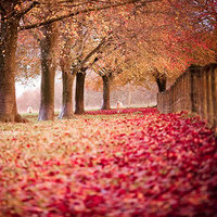 阳光干净的微信头像(22张)