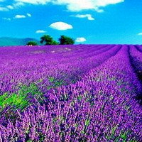 阳光干净的微信头像(22张)