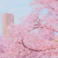 阳光干净的微信头像(22张)