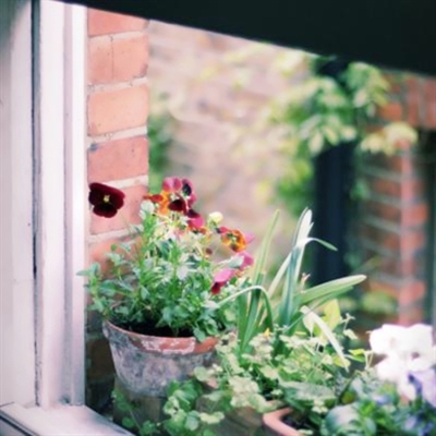 清新脱俗的风景头像(精选26张)