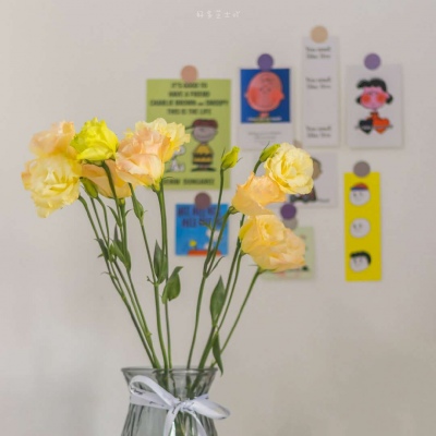 清新脱俗的风景头像(精选26张)