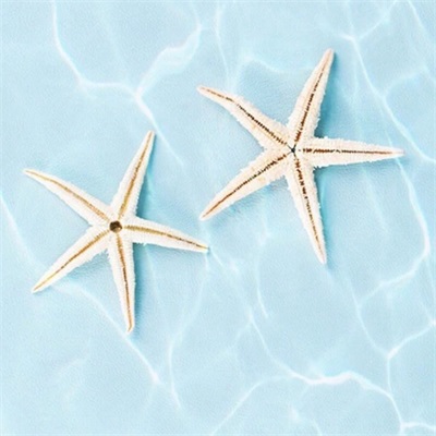 清新脱俗的风景头像(精选26张)