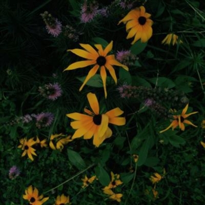 清新脱俗的风景头像(精选26张)