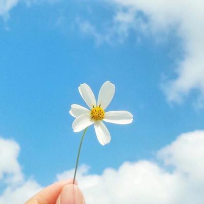 找一个风景头像(30张)