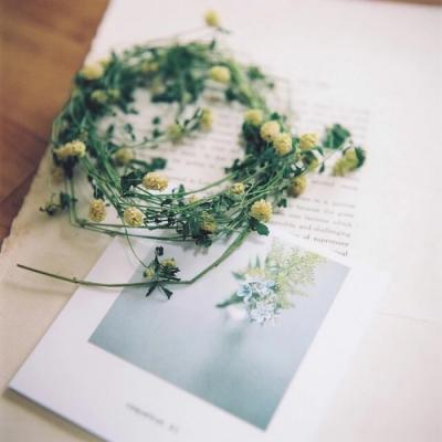 找一个风景头像(30张)