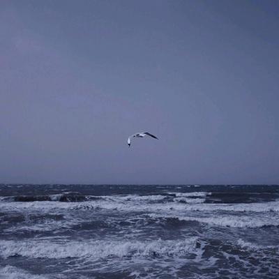 找一个风景头像(30张)