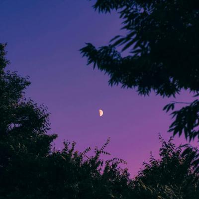 找一个风景头像(30张)