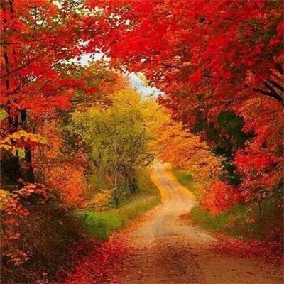 最好看风景微信头像(精选18张)