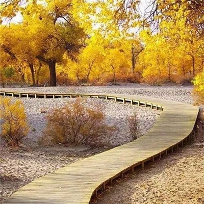 最好看风景微信头像(精选18张)