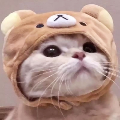 可爱猫咪情侣头像(精选18张)