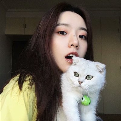 女头带宠物头像(24张)