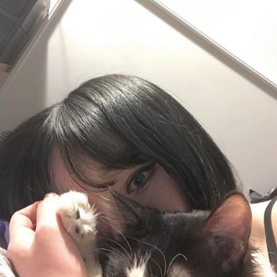 女头带宠物头像(24张)