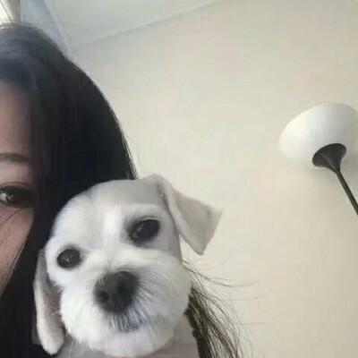 女头带宠物头像(24张)