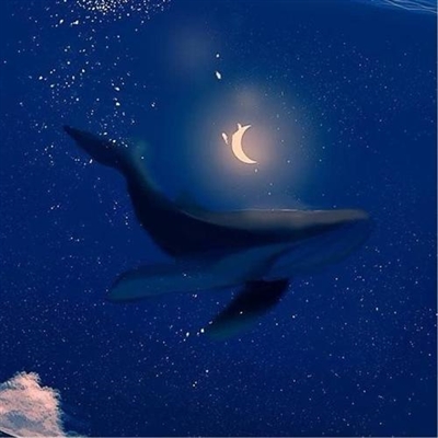 三十岁女人淡雅气质头像(精选26张)