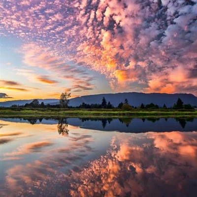 三十岁女人淡雅气质头像(精选26张)