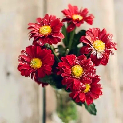 运气越来越好的微信头像(精选20张)