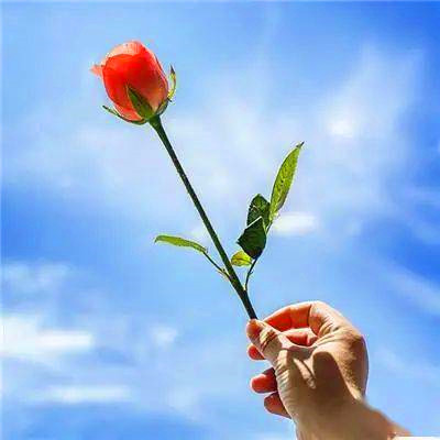 运气越来越好的微信头像(精选20张)