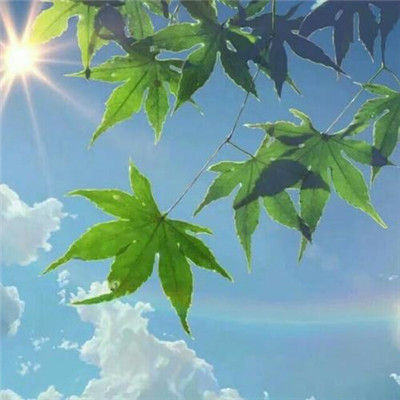 微信头像正能量励志图片(精选22张)