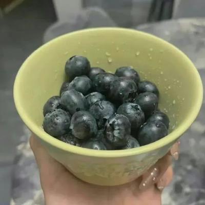 下午茶高清图片唯美(精选24张)