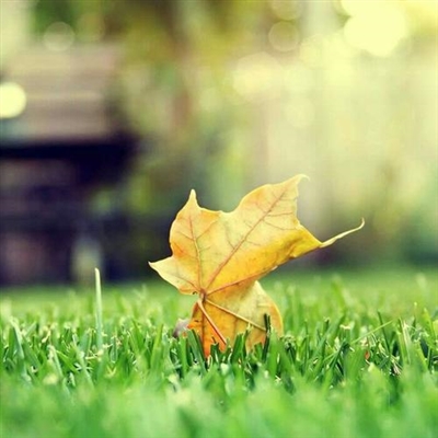 一辈子都不用换的微信头像(24张)