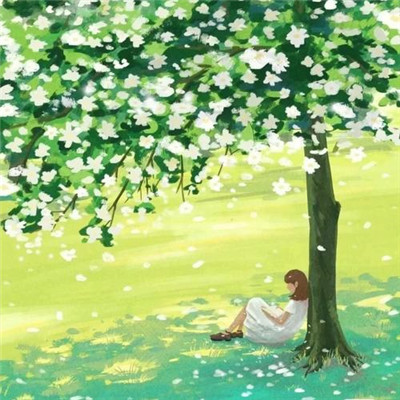 一辈子都不用换的微信头像(24张)