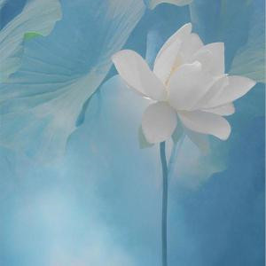 古风动漫头像壁纸图片(精选18张)