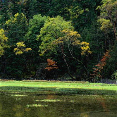 最好旺财山水风景图片微信头像(16张)