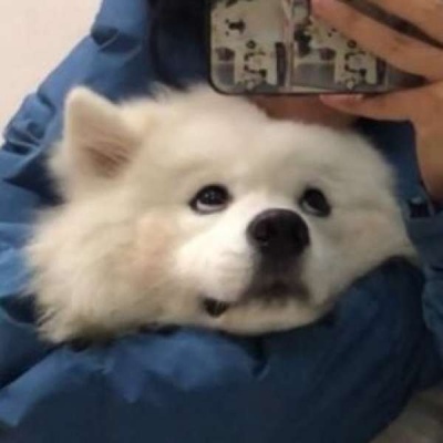 对象不是人系列情头像(22张)