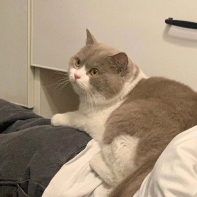 对象不是人系列情头像(22张)