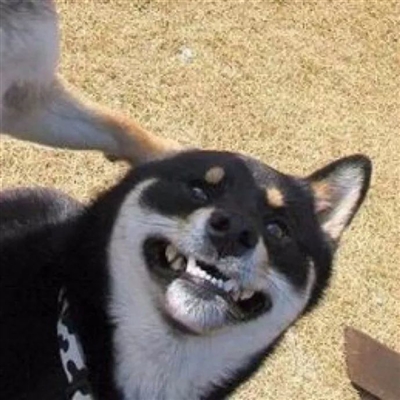 搞怪手绘情侣头像(精选66张)