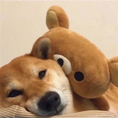 搞怪手绘情侣头像(精选66张)