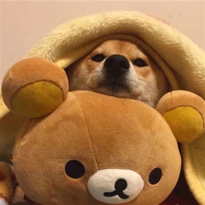 搞怪手绘情侣头像(精选66张)