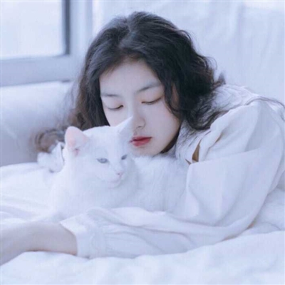 高清女生抱猫咪的头像(精选24张)