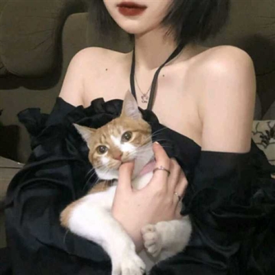 高清女生抱猫咪的头像(精选24张)