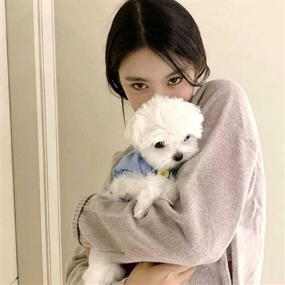 高清女生抱猫咪的头像(精选24张)