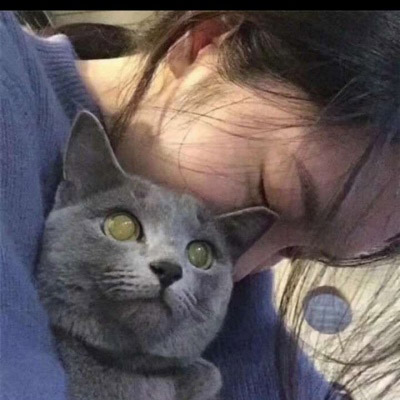 高清女生抱猫咪的头像(精选24张)