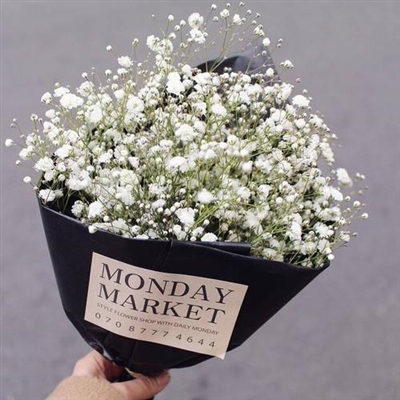 女生手捧满天星头像(精选15张)