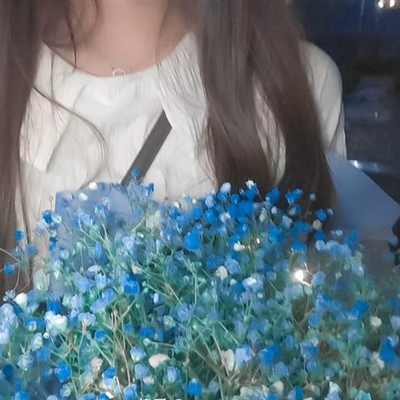 女生手捧满天星头像(精选15张)