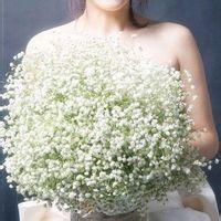 女生手捧满天星头像(精选15张)