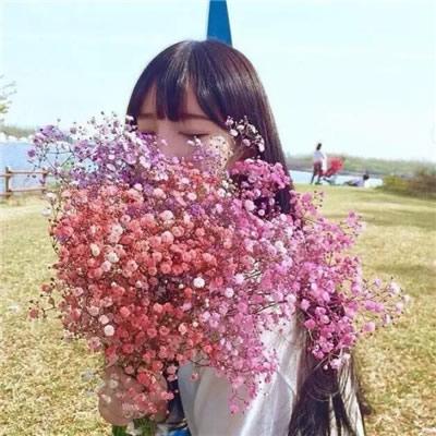 女生手捧满天星头像(精选15张)